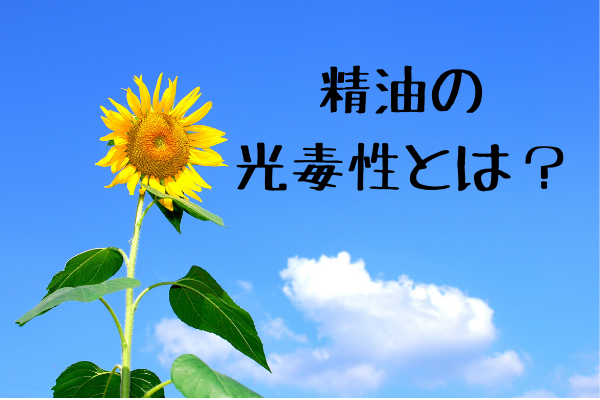 精油の光毒性とは どんなことに注意すればいい アロマテラピーラボ